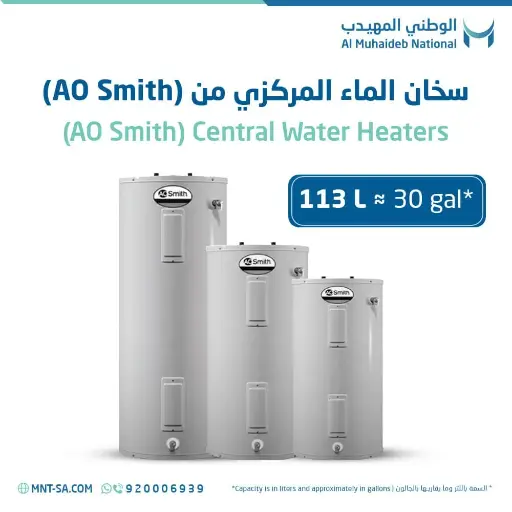 AO Smith Central Water Heater 30 Gallon